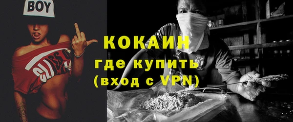 стаф Арсеньев