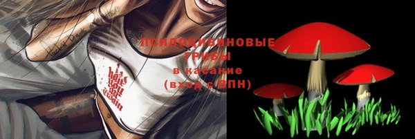стаф Арсеньев