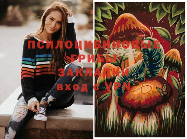 стаф Арсеньев