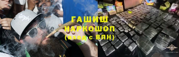 стаф Арсеньев