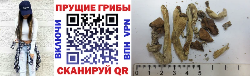 blacksprut зеркало  как найти закладки  Северо-Курильск  Галлюциногенные грибы ЛСД 